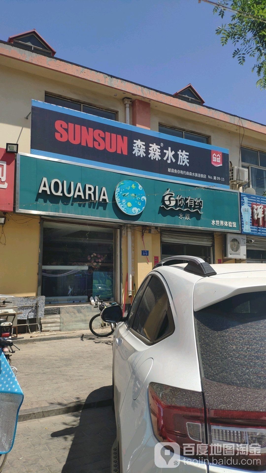 滄州哪個水族館龍魚好？祥龍魚場龍魚（滄州市祥龍魚場） 滄州哪個水族館龍魚好？祥龍魚場龍魚（滄州市祥龍魚場） 龍魚百科 第9張
