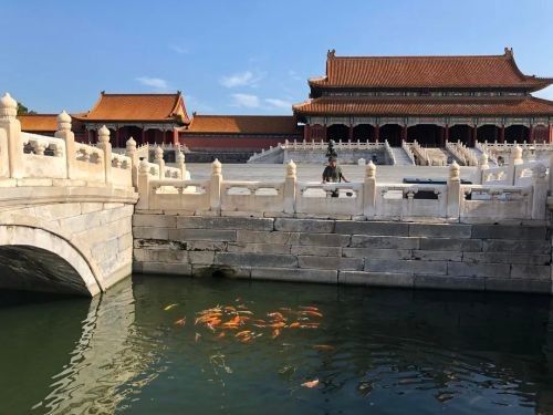 建始哪個水族館龍魚好？祥龍魚場龍魚（建始水族館祥龍魚場龍魚的價格是多少？）
