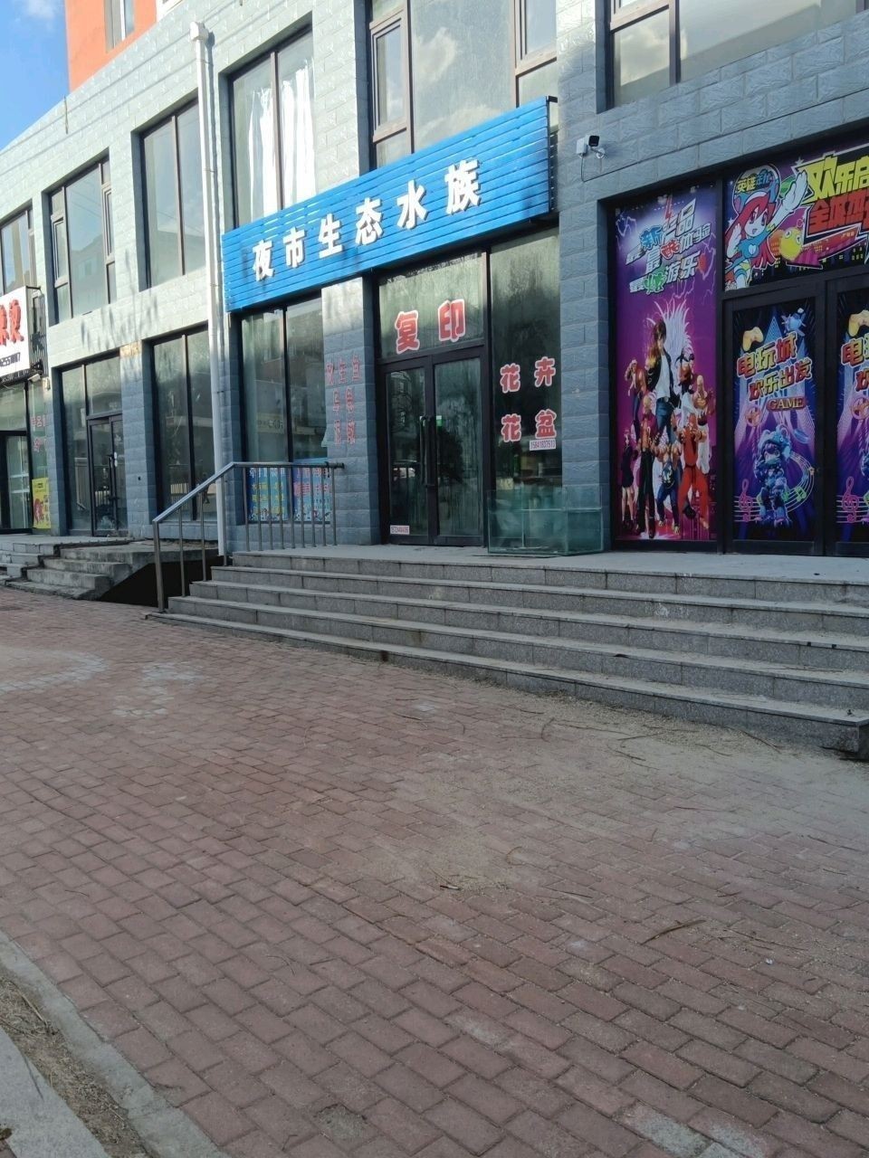 清河門哪個(gè)水族館龍魚好？祥龍魚場龍魚（清河門哪家水族館有推薦的嗎？）