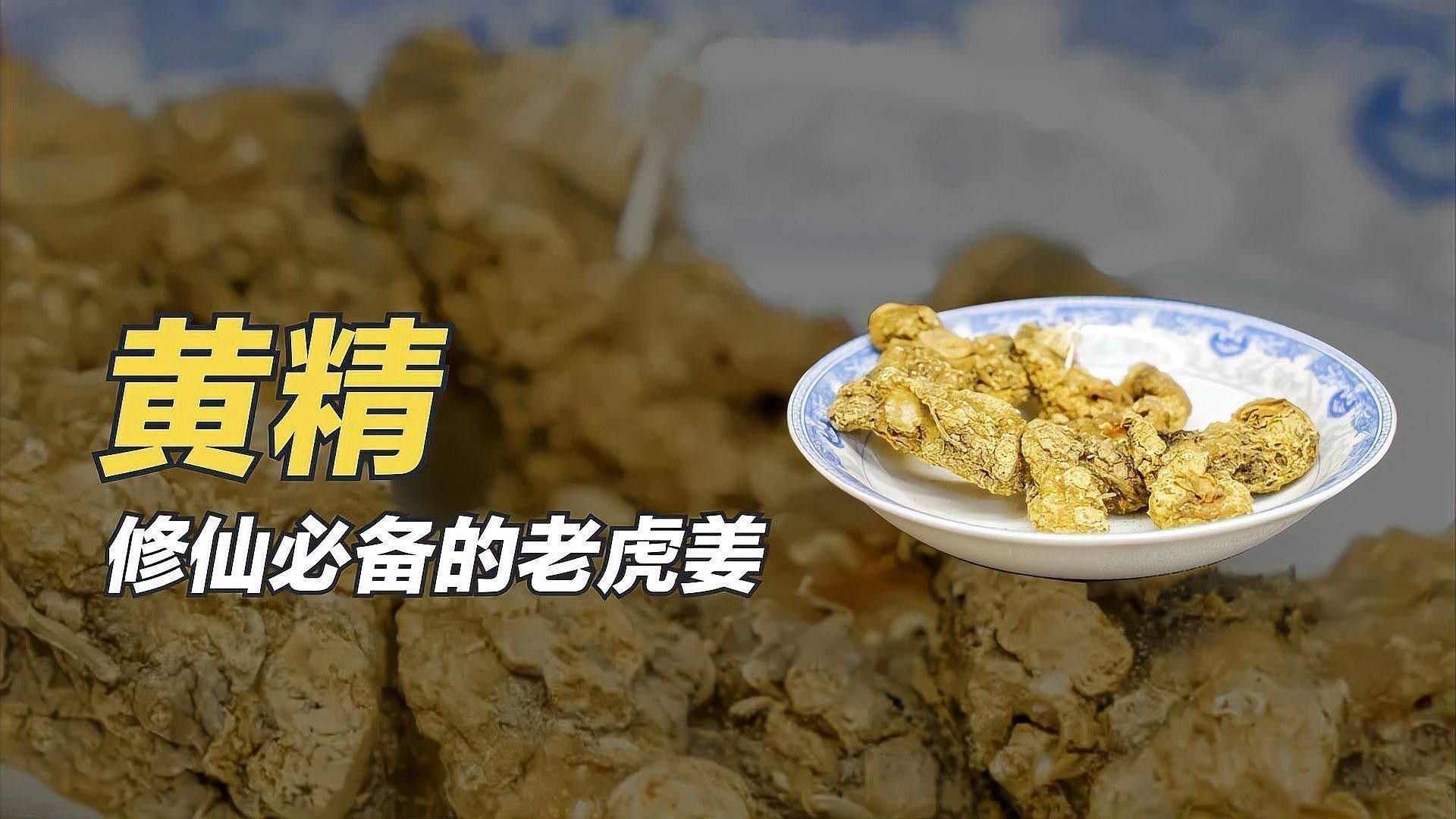 黃精益智仁有無副作用（中藥黃精的副作用和禁忌是什么黃精的副作用和禁忌）