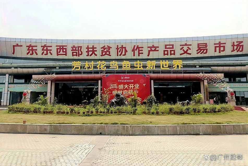 全國最大的龍魚市場在哪里（全國最大的龍魚市場在哪里廣州龍魚批發市場在哪里）