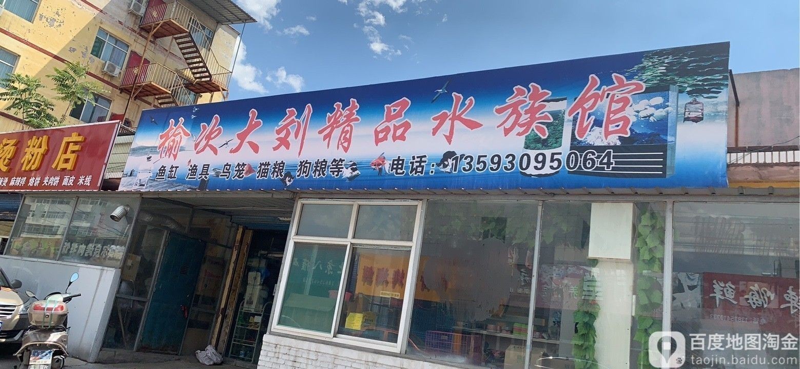 壽陽哪個水族館龍魚好？祥龍魚場龍魚（壽陽縣祥龍魚場龍魚種類繁多多樣）