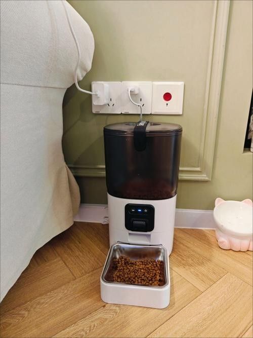 有哪些智能喂食器推薦？（好用的高性價比智能喂食器品牌推薦）