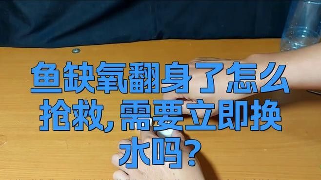 紅龍魚缺氧后多久會恢復（紅龍魚缺氧后多久恢復正常）