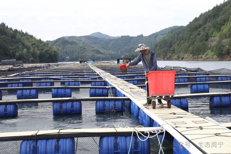 周寧哪個水族館龍魚好？祥龍魚場龍魚（廣州龍魚祥龍魚場）