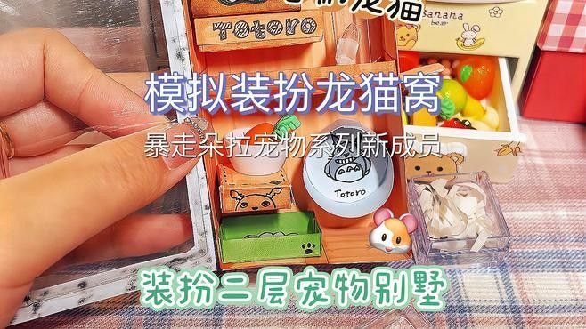 龍貓的最佳伴侶需要多大的活動空間（呼倫貝爾大草原的貓咪們，龍貓要怎么養，好養嗎） 龍貓的最佳伴侶需要多大的活動空間（呼倫貝爾大草原的貓咪們，龍貓要怎么養，好養嗎） 龍魚百科 第1張