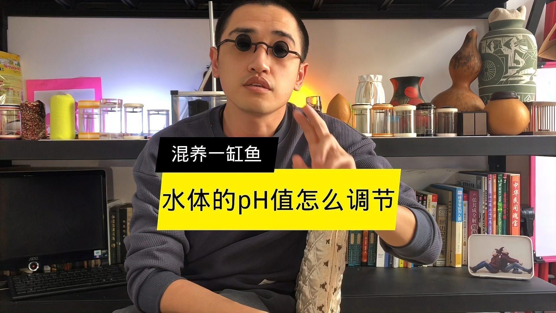 混養時如何維持穩定的水質（魚缸混養打架少這些方法讓水質穩定，情緒更平和雅集知識堂）