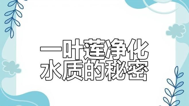 混養時如何維持穩定的水質（魚缸混養打架少這些方法讓水質穩定，情緒更平和雅集知識堂）