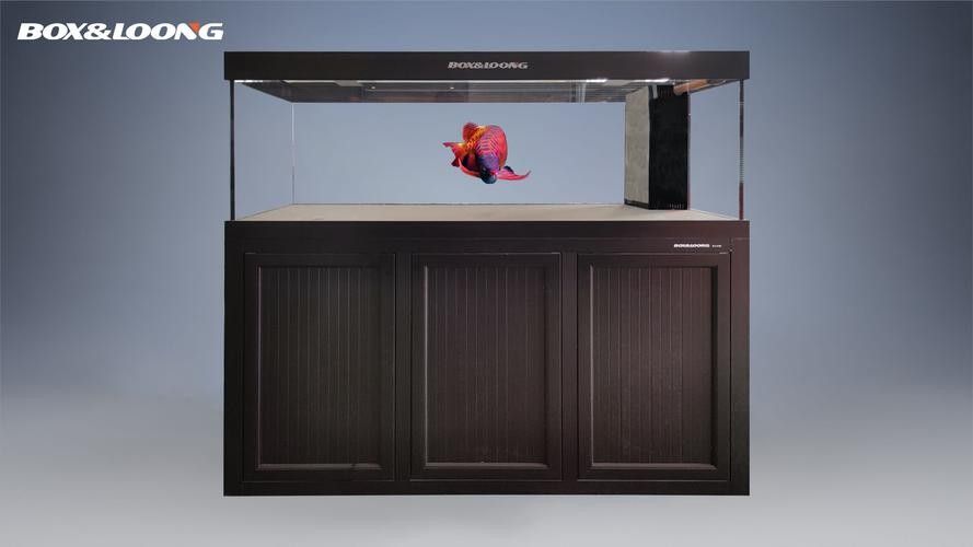 博世龍魚缸有自動恒溫功能嗎（博世龍魚缸具備自動恒溫功能）