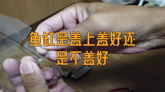雷龍魚缸需要加蓋嗎？（雷龍魚缸是否需要加蓋，取決于幾個關鍵因素，）