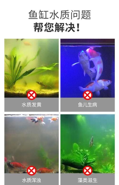 雷龍魚缸過濾器的選擇（雷龍魚缸過濾器選擇技巧雷龍魚缸過濾選擇技巧）