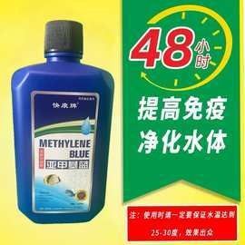寧波龍魚批發價格如何？（寧波市龍魚批發價格如何？）