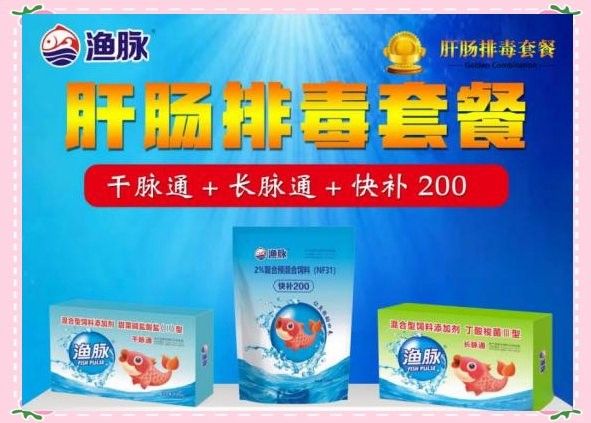 龍魚腸炎期間如何保持水質(zhì)穩(wěn)定（龍魚得了腸炎怎么辦）