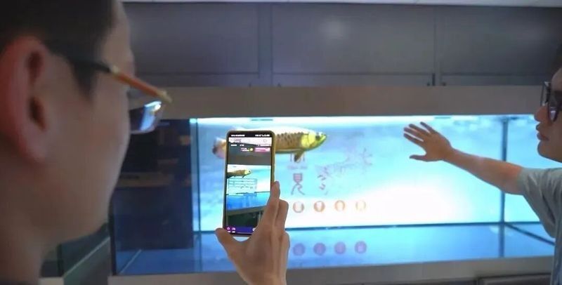 靜安哪個水族館龍魚好？祥龍魚場龍魚（上海海洋水族館春節展示最具“龍氣”的魚上觀新聞） 靜安哪個水族館龍魚好？祥龍魚場龍魚（上海海洋水族館春節展示最具“龍氣”的魚上觀新聞） 龍魚百科 第10張