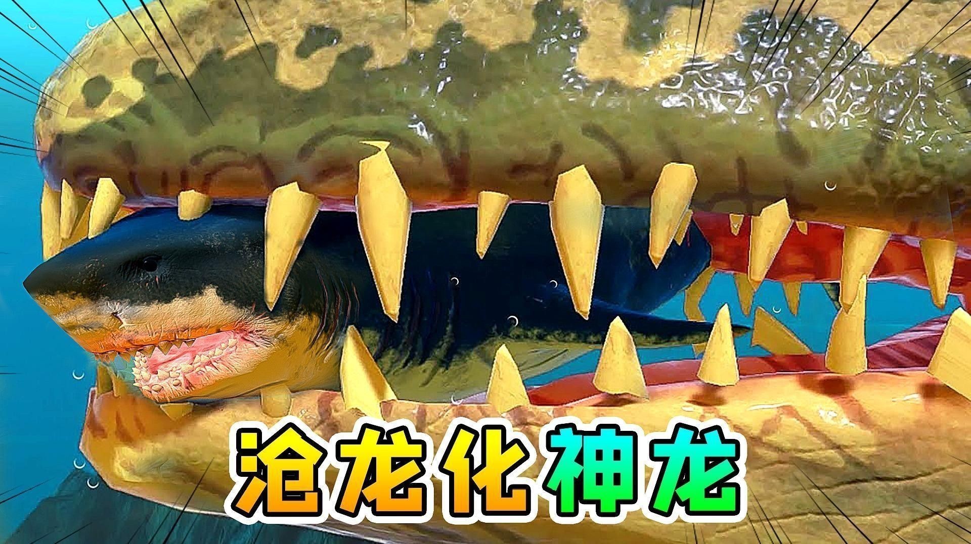 巨龍魚有哪些捕食技巧？（巨龍魚的成長(zhǎng)歷程）