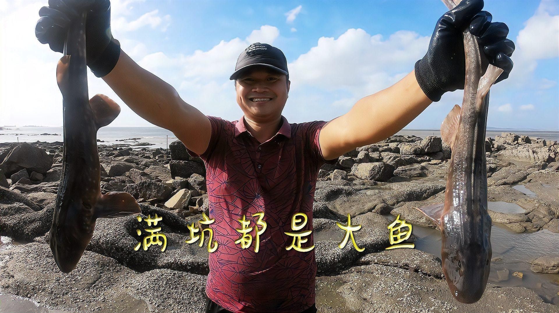 巨龍魚有哪些捕食技巧？（巨龍魚的成長(zhǎng)歷程）