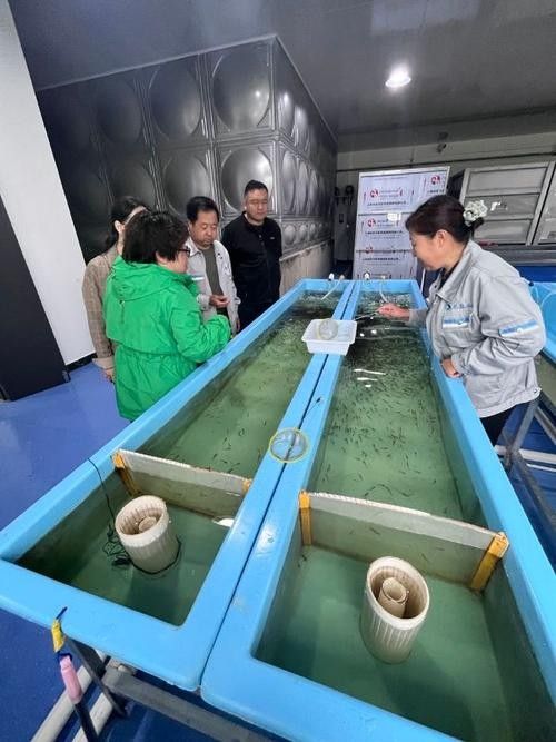 如何聯系到呼倫貝爾龍魚養殖基地？（關于呼倫貝爾龍魚養殖基地的聯系方式）