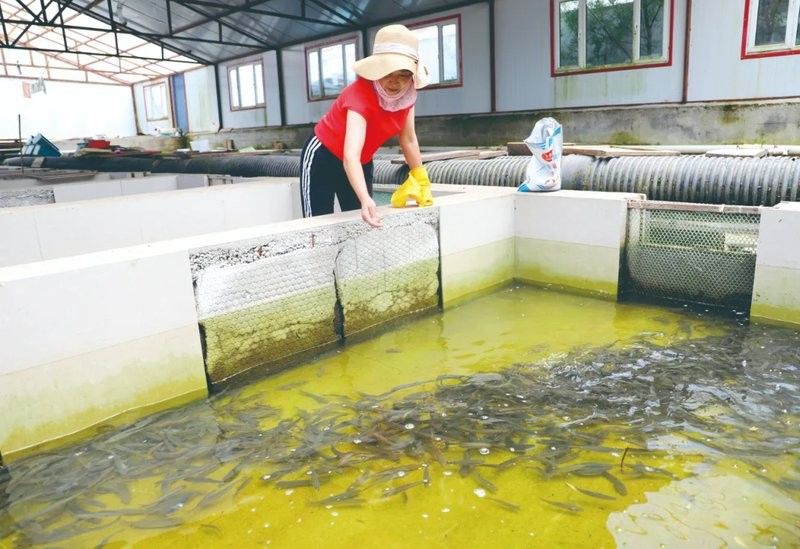 如何聯(lián)系到呼倫貝爾龍魚養(yǎng)殖基地？（關于呼倫貝爾龍魚養(yǎng)殖基地的聯(lián)系方式）
