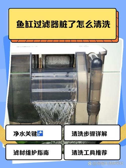 雷龍魚過濾器多久清洗一次（雷龍魚過濾器多久清洗一次雷龍魚過濾器多久清洗一次）