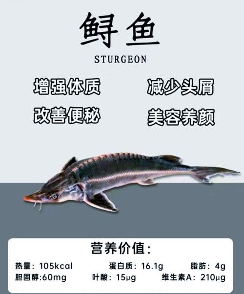 如何判斷鱘龍魚是否新鮮（怎樣判斷鱘魚是否新鮮）