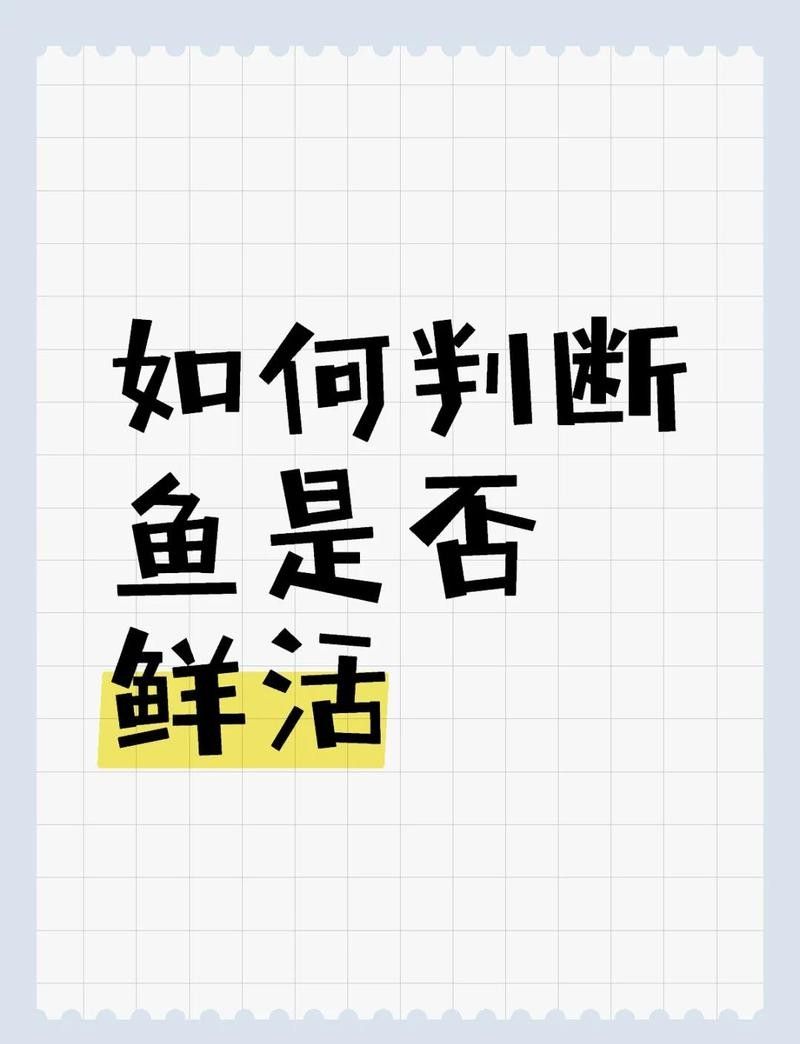 如何判斷鱘龍魚是否新鮮（怎樣判斷鱘魚是否新鮮）