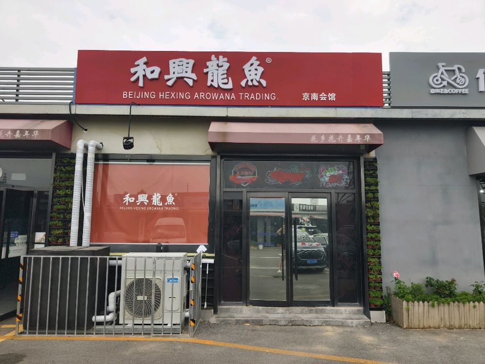 北京和興龍魚貿易的總部在哪里？（北京和興龍魚貿易總部位置）