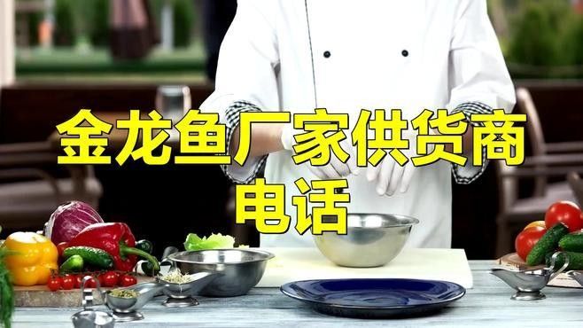 如何聯系金龍魚供應商？（如何聯系金龍魚的供應商？）
