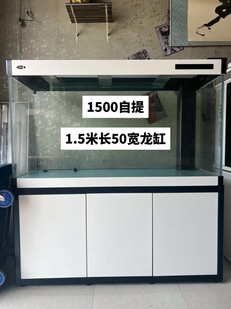 50寬魚缸可以養哪些品種的龍魚(50厘米寬的魚缸適合養什么魚)