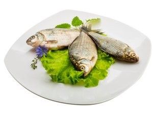金龍魚水霉病會傳染嗎？（龍魚水霉病是怎么引起的）
