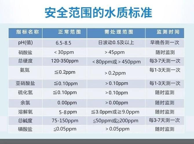 如何判斷魚缸是否適合養龍魚（如何判斷魚缸是否適合養龍魚生長，最全攻略） 如何判斷魚缸是否適合養龍魚（如何判斷魚缸是否適合養龍魚生長，最全攻略） 龍魚百科 第6張