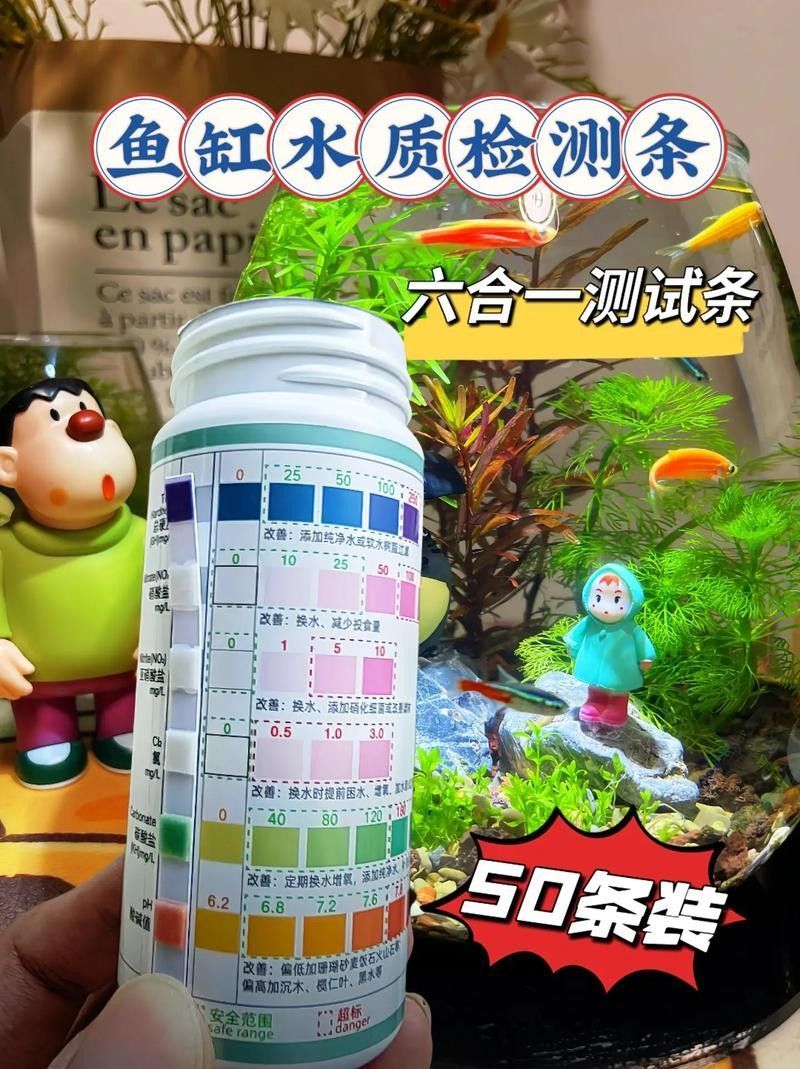 如何判斷魚缸是否適合養龍魚（如何判斷魚缸是否適合養龍魚生長，最全攻略） 如何判斷魚缸是否適合養龍魚（如何判斷魚缸是否適合養龍魚生長，最全攻略） 龍魚百科 第5張
