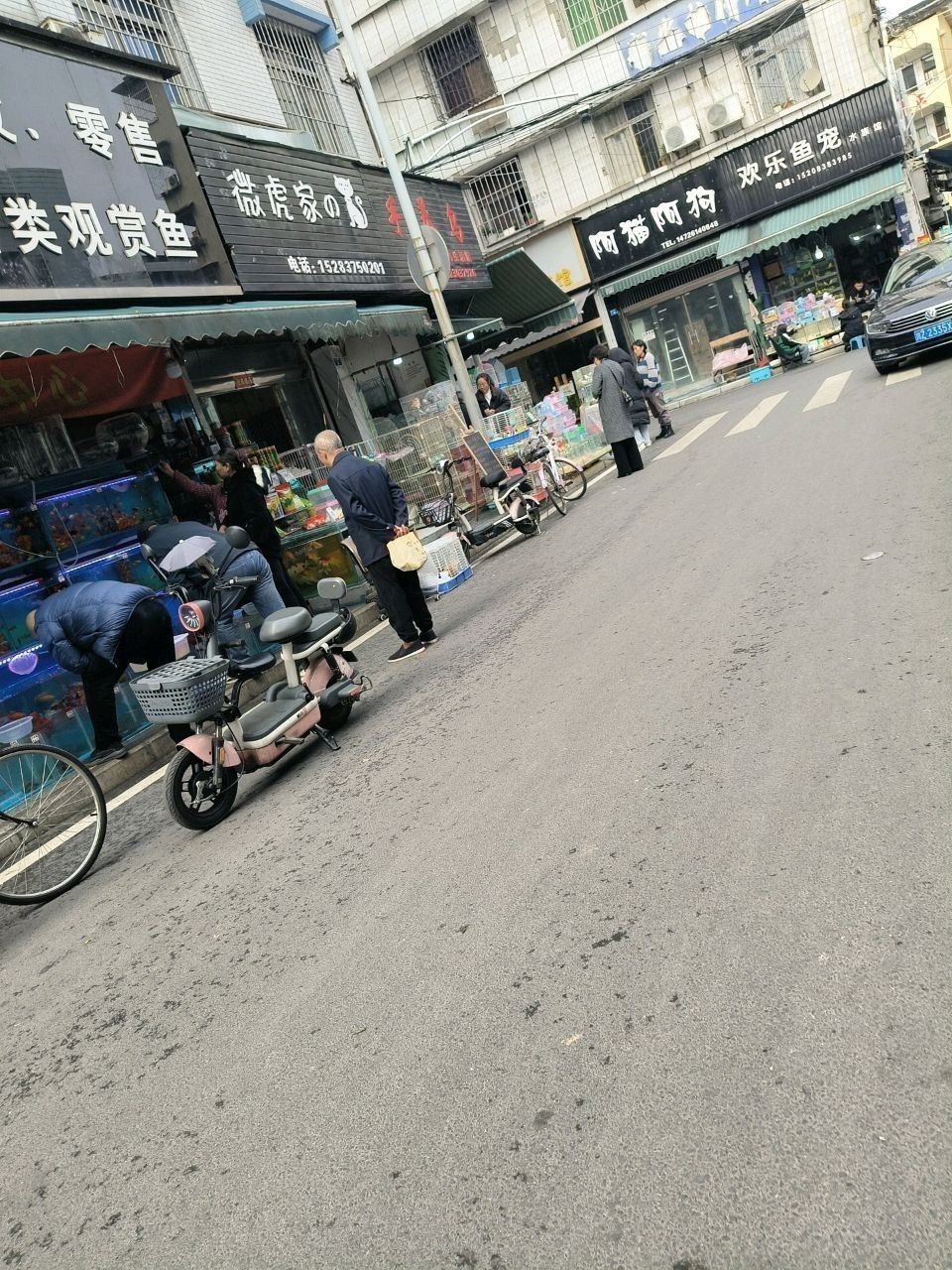 眉山哪個水族館龍魚好？祥龍魚場龍魚（四川省眉山市“祥龍魚場”）