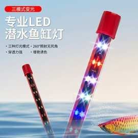 金龍魚專用燈有哪些型號（金龍魚專用燈型號及特點(diǎn)整理金龍魚專用燈的安裝步驟）
