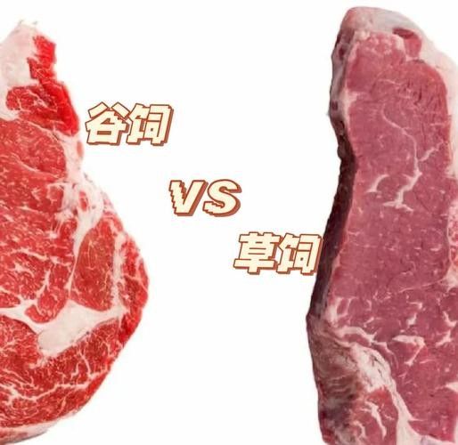 如何區分草飼牛肉和谷飼牛肉？（草飼牛肉和谷飼牛有什么區別）