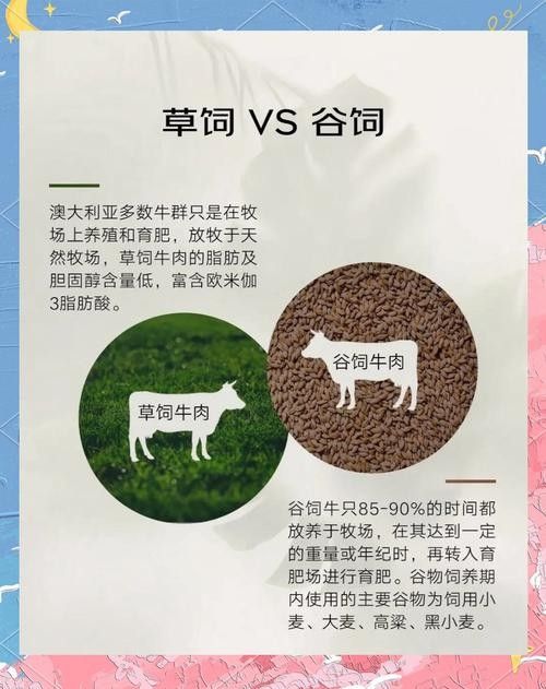 如何區分草飼牛肉和谷飼牛肉？（草飼牛肉和谷飼牛有什么區別）