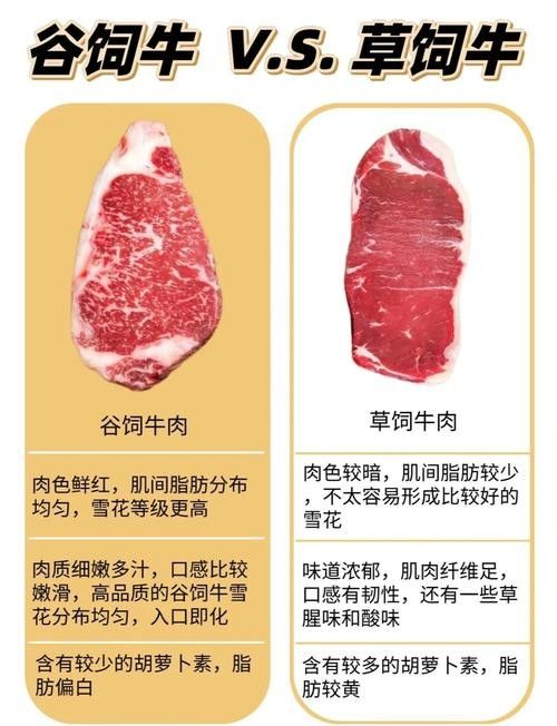 如何區分草飼牛肉和谷飼牛肉？（草飼牛肉和谷飼牛有什么區別）