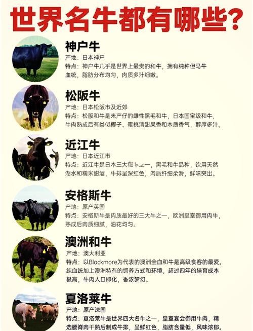如何區分草飼牛肉和谷飼牛肉？（草飼牛肉和谷飼牛有什么區別）