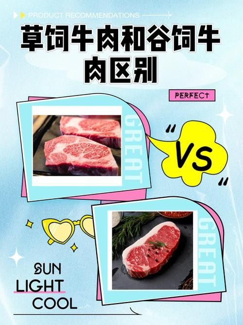如何區分草飼牛肉和谷飼牛肉？（草飼牛肉和谷飼牛有什么區別）