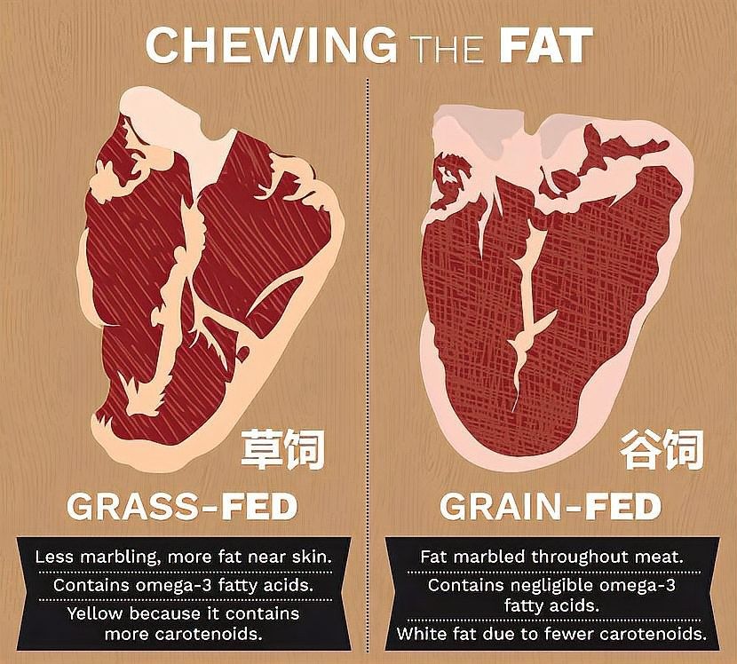 如何區分草飼牛肉和谷飼牛肉？（草飼牛肉和谷飼牛有什么區別）