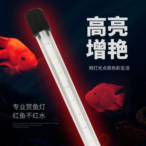 森森龍魚缸LED燈有哪些型號可選（森森龍魚缸led燈）