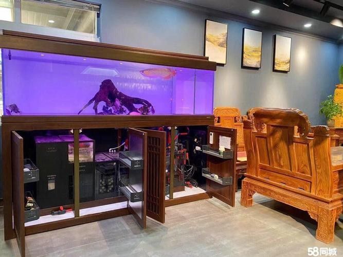 如何聯(lián)系邯鄲凱龍魚缸維修店（邯鄲凱龍魚缸維修店）