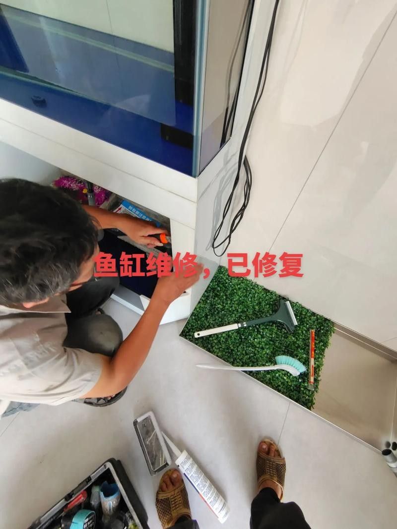 如何聯(lián)系邯鄲凱龍魚缸維修店（邯鄲凱龍魚缸維修店）