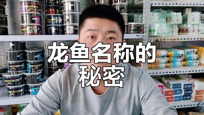 <strong><mark>定安</mark></strong>哪個水族館龍魚好？祥龍魚場龍魚（<strong><mark>定安</mark></strong>有哪些知名的祥龍魚場？）