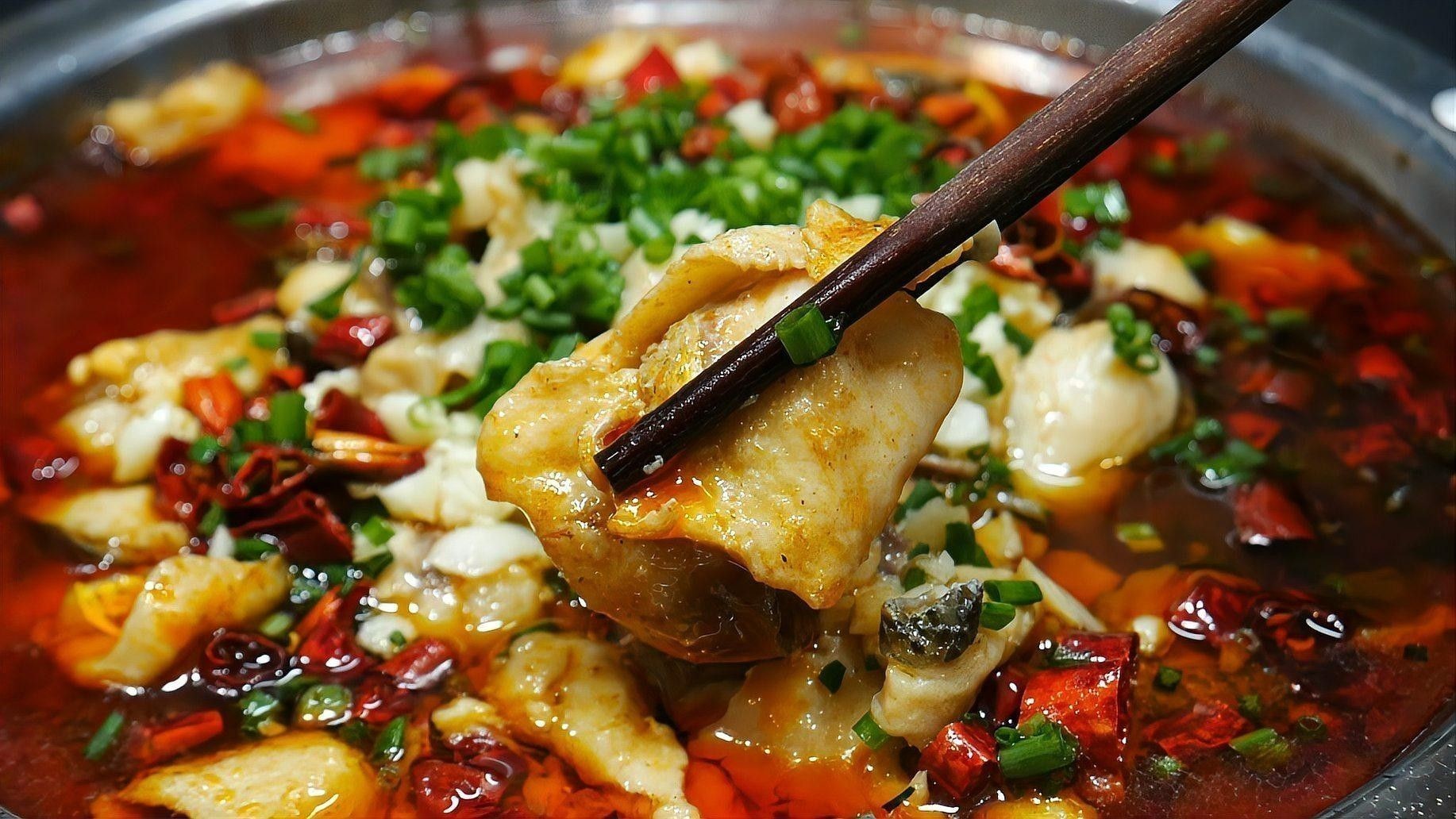 哈爾濱哪家龍魚店口碑最好（哈爾濱口碑較好的龍魚店）