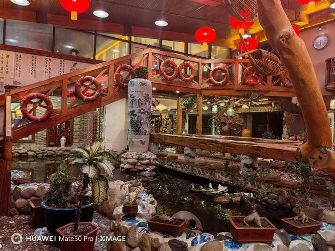 哈爾濱哪家龍魚店口碑最好（哈爾濱口碑較好的龍魚店）