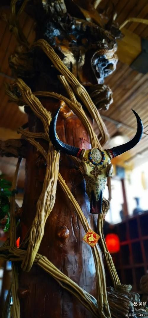 哈爾濱哪家龍魚店口碑最好（哈爾濱口碑較好的龍魚店）