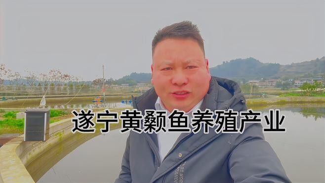 巴中龍魚價格是多少？（巴中龍魚價格是多少）