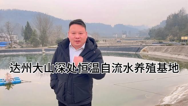 巴中龍魚價格是多少？（巴中龍魚價格是多少）