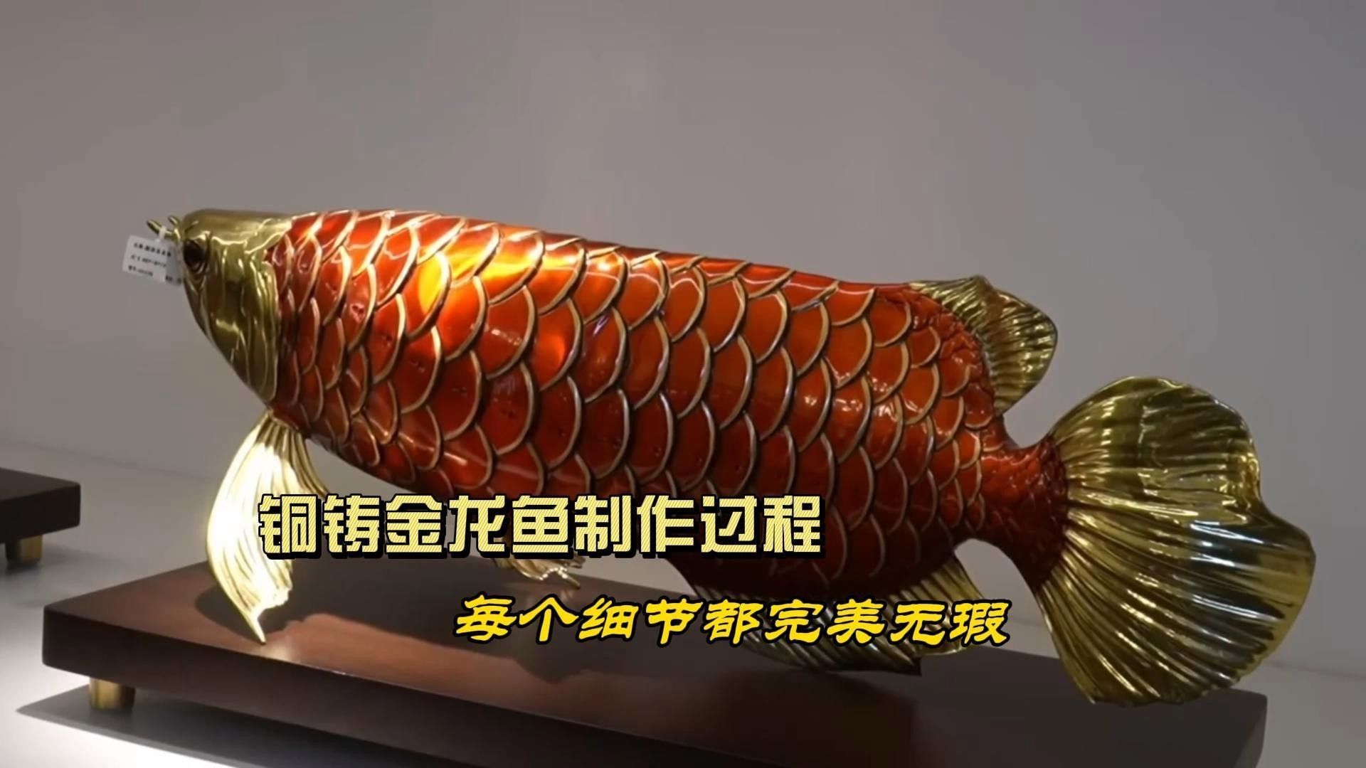 金龍魚專利技術(shù)如何轉(zhuǎn)化成產(chǎn)品（金龍魚專利技術(shù)如何轉(zhuǎn)化成產(chǎn)品？）
