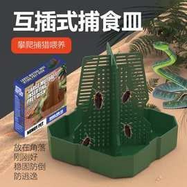 北京和興龍魚貿易的蟲類有哪些？（北京和興龍魚貿易有限公司）